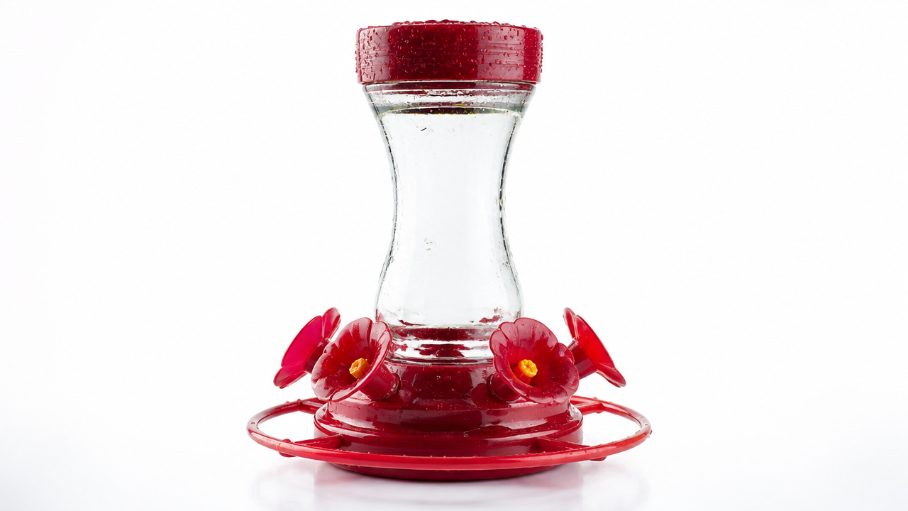 best leak proof hummingbird feeder