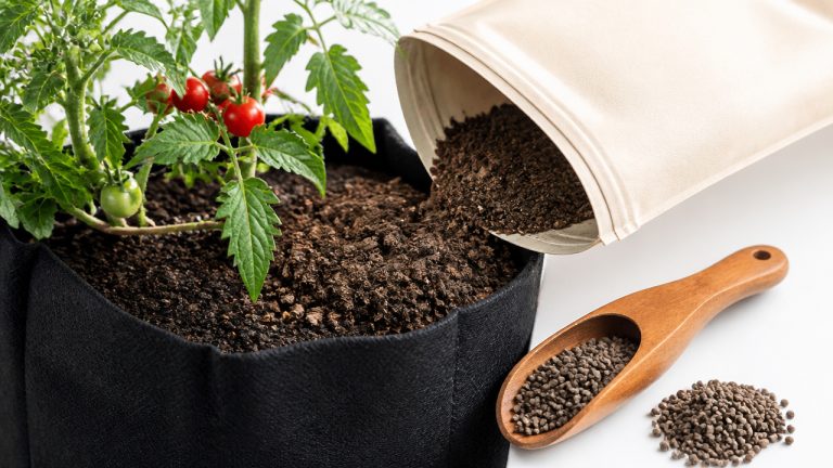 best fertilizer for grow bags