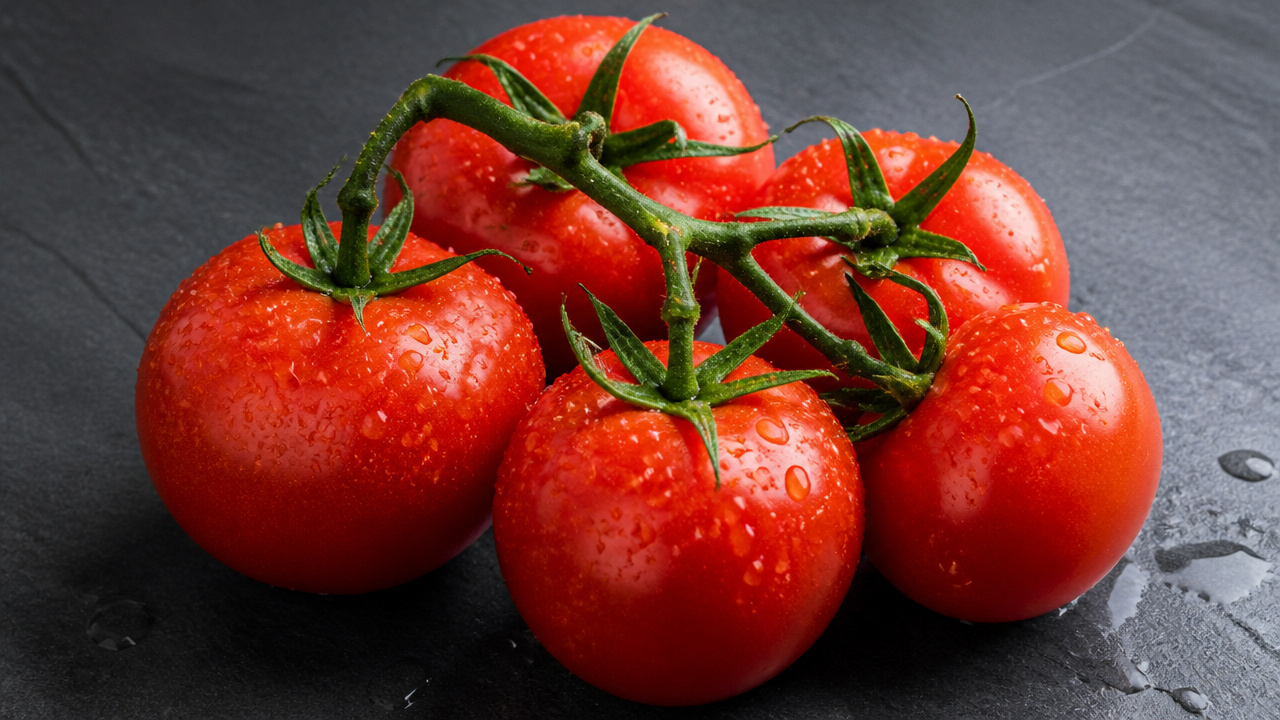 best indeterminate tomato