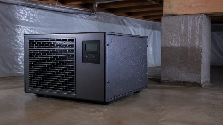 best crawlspace dehumidifier