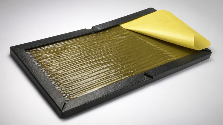 best glue trap for mice